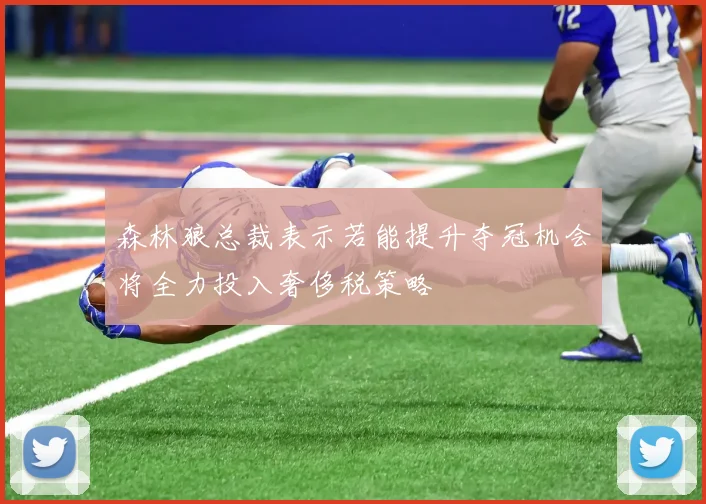 森林狼总裁表示若能提升夺冠机会将全力投入奢侈税策略
